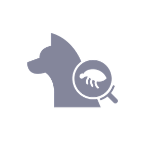 Purple icon of a dog with a magnified flea