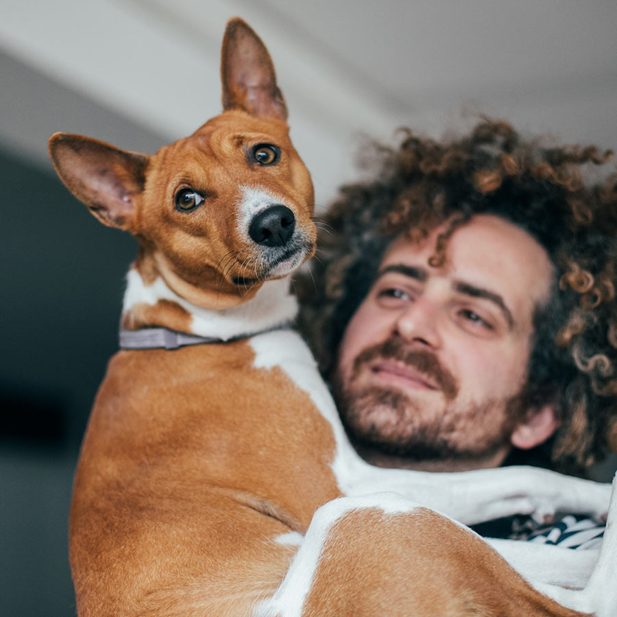 Smiling man holding brown and white dog