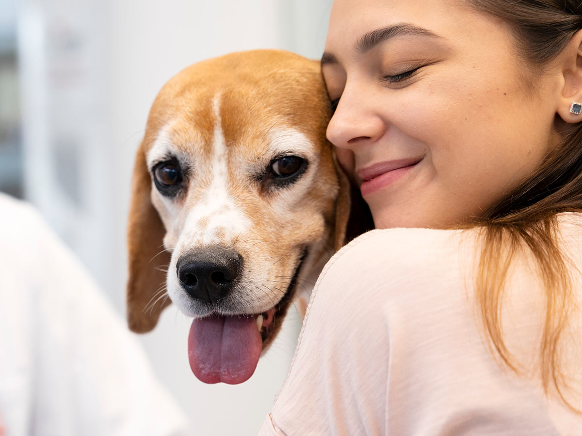 Woman affectionately cuddling a happy beagle