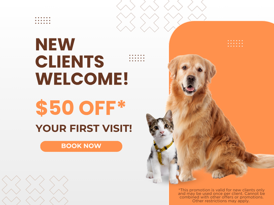 Promotional banner featuring a happy Golden Retriever sitting next to a kitten in a harness. On the left, text says "NEW CLIENTS WELCOME!  OFF* YOUR FIRST VISIT!" above an orange "BOOK NOW" button. Fine print reads: "*This promotion is valid for new clients only and may be used once per client. Cannot be combined with other offers or promotions. Other restrictions may apply."
