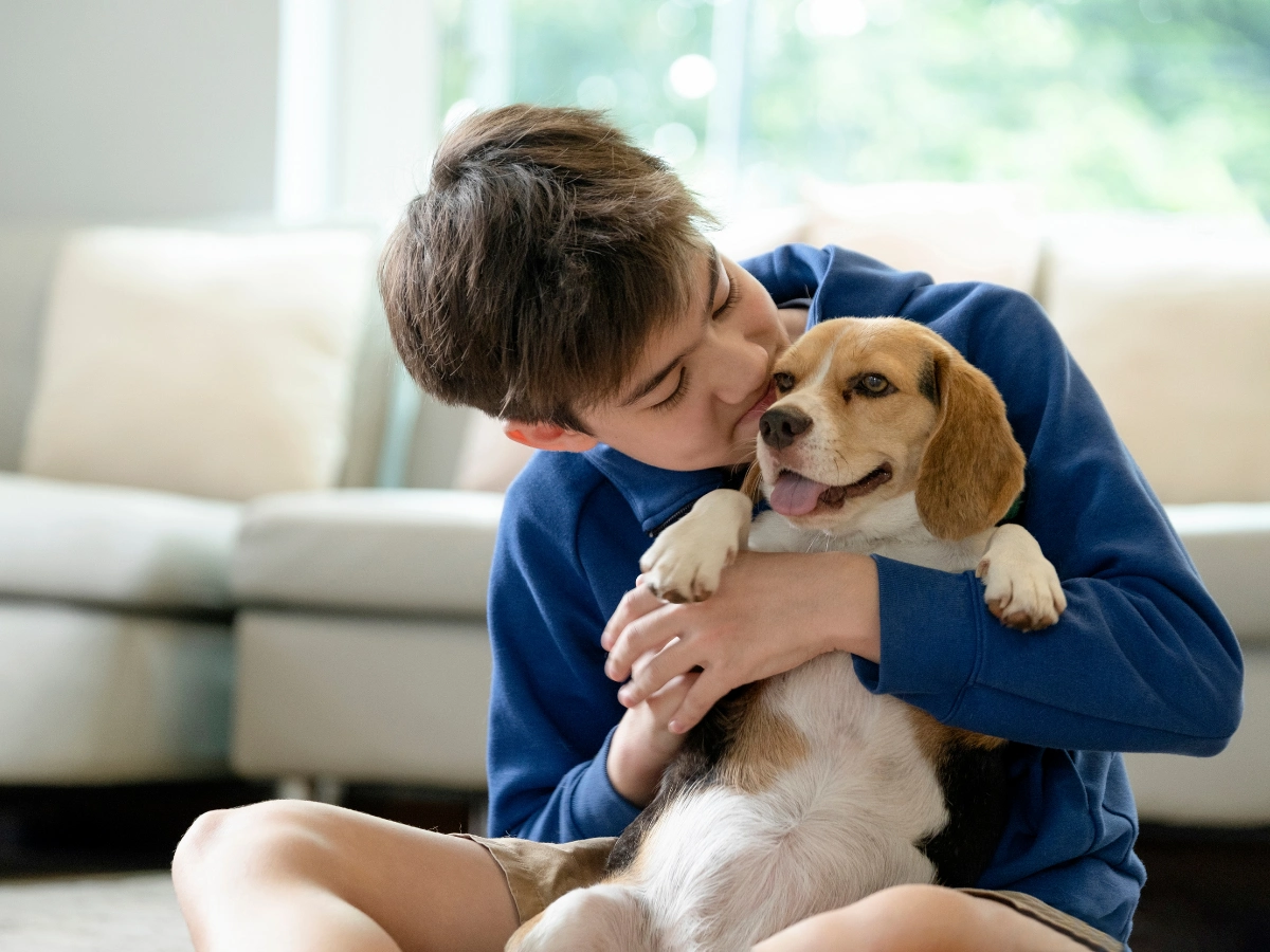 A person in a blue sweatshirt cuddles and hugs a small golden dog on a couch, smiling as the dog rests its paws on their arms.