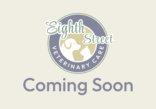 A photo featuring the Eighth Street Veterinary Care logo with dog and cat with a "Coming Soon" description.