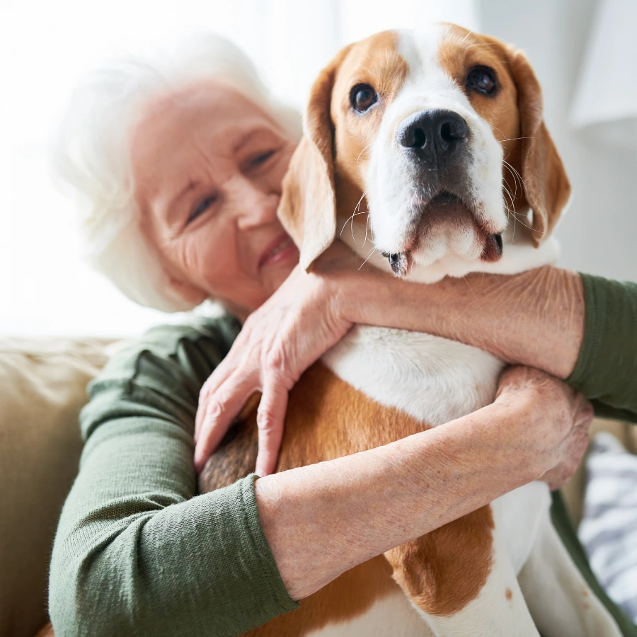 An elderly person cuddles a brown-and-white dog, holding it close against their chest while the dog looks toward the camera on a couch.