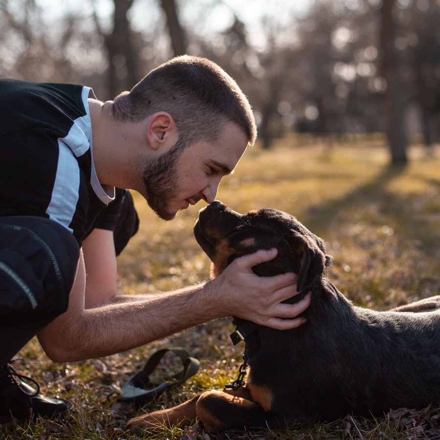 A person kneels outdoors in a park, gently holding and petting a black dog lying on the grass as the dog looks up in warm sunlight.