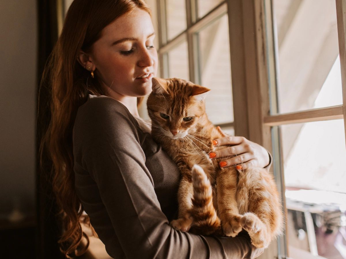 A person in a dark dress holds a ginger cat while sitting by a window with bright daylight, gently cradling the cat’s body and looking down at it.