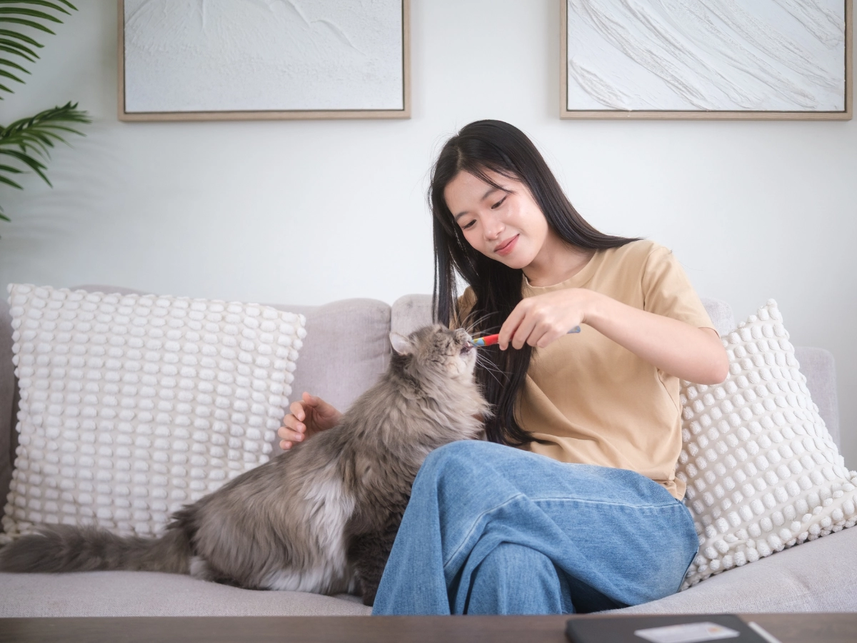 A person sitting on a light-colored couch pets a gray cat on its side, both relaxing at home.