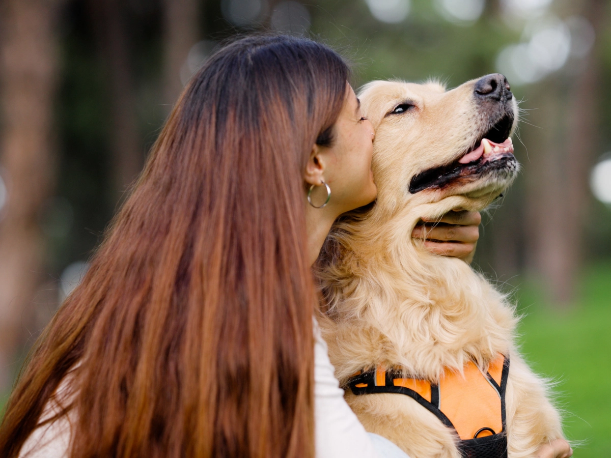 A person with long brown hair kisses a golden dog with a black harness in a green outdoor park, with trees blurred in the background.
