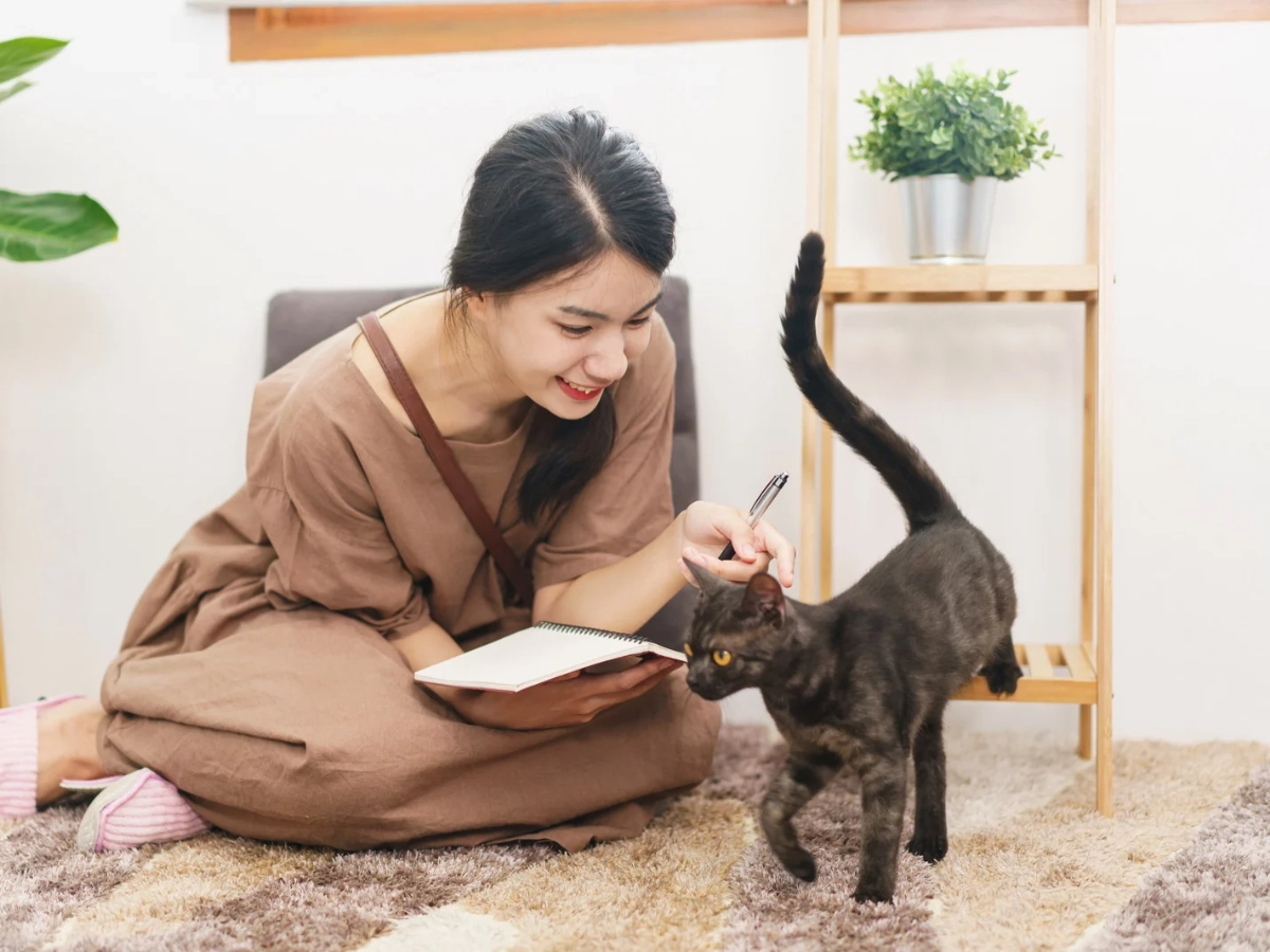 A person in a brown outfit sits on a carpet reading a book while a gray cat stands beside them and looks up toward their hand in a bright room.